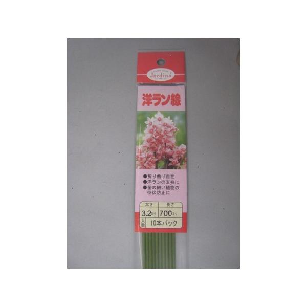 m@PO{@ӂRDQ×VO 3123270 K[fjO |pi | x