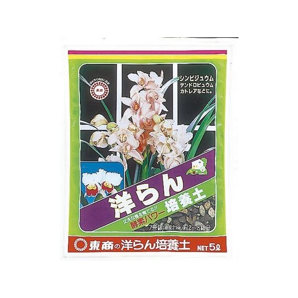  m|{y@Tbg 1716011 K[fjO |pi |py pyA|{y