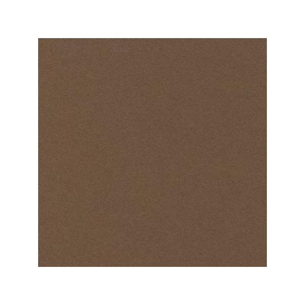 07 HOSHINO x[VbNJ[hk 50 NO.8 _[NuE 130270 323188 bZ[WJ[h O[eBOJ[h