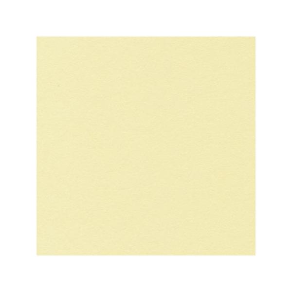 07 HOSHINO x[VbNJ[hk 50 NO.14 N[ 130270 323194 bZ[WJ[h O[eBOJ[h