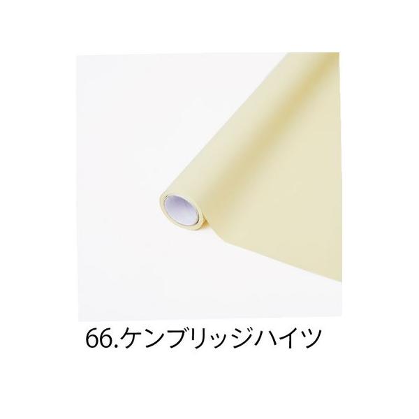 日限定07 HOSHINO モイスト NO．66 ケンブリッジハイツ 65x15