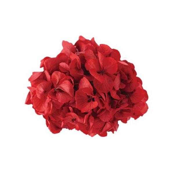 vU[uh Fg AWTC@bh 15700 vU[uht[ԍ AWTC