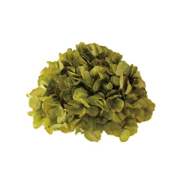 vU[uh Fg AWTC@n[uO[ 15703 vU[uht[ԍ AWTC