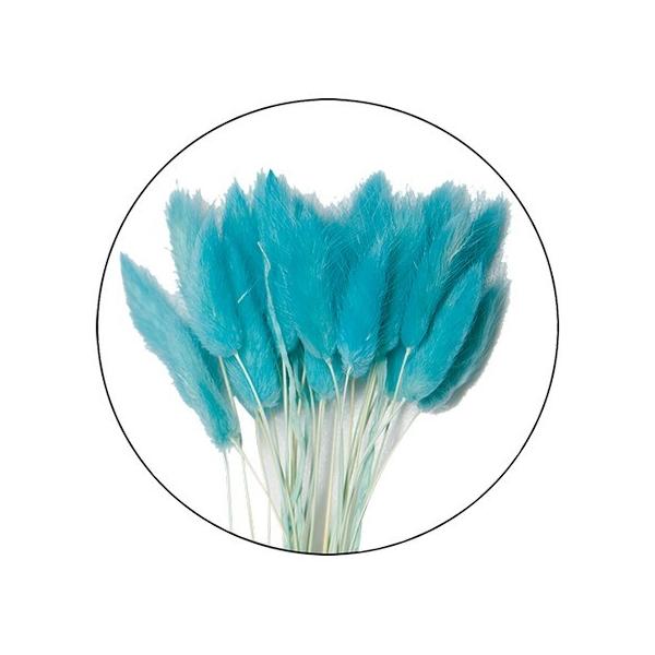 【商品番号：028-01433】/【VAR：67434】20220326new/fuwa2020/bk-3016ドライフラワー花材 ラグラス