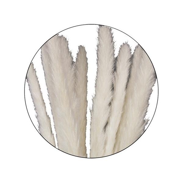 【商品番号：028-01436】/【VAR：67435】20220326new/tepu-1/fuwa2020/bk-3013/fuw-01/bk-4010ドライ穂物 その他