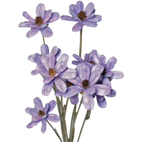 【商品番号：028-01571】/【VAR：67609】20230131new/bk-3019ソラフラワー その他ソラフラワー【GARDEN PALETTE MONO】