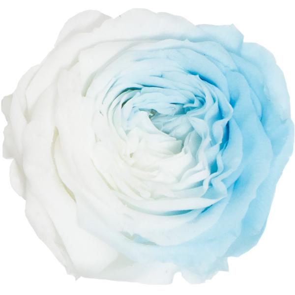 ナナマカロンローズマーブルピンク1箱プリマヴェーラ