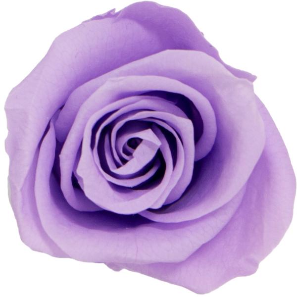 プリザーブド GARDEN PALETTE MONO リサ ローズ 9輪 ライラック GP910