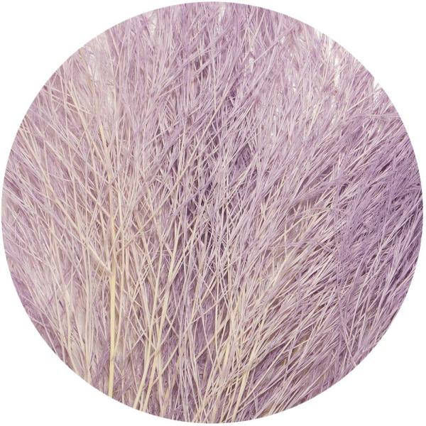 【商品番号：028-01657】/【VAR：67643】20230530new/color20230919ドライ葉物 葉物【GARDEN PALETTE MONO】