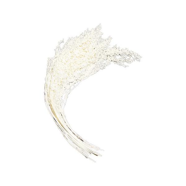 【商品番号：028-01659】/【VAR：】20230530newドライフラワー花材 その他ドライフラワー【GARDEN PALETTE MONO】