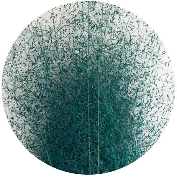 【商品番号：028-01684】/【VAR：67646】20230530new/fuw-01/color20230919ドライ穂物 その他