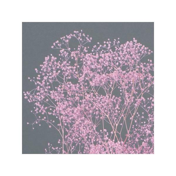 【商品番号：028-01807】/【VAR：77116】date20231027/00010-400/bk-4006プリザーブドフラワー花材 カスミ草【GARDEN PALETTE MONO】