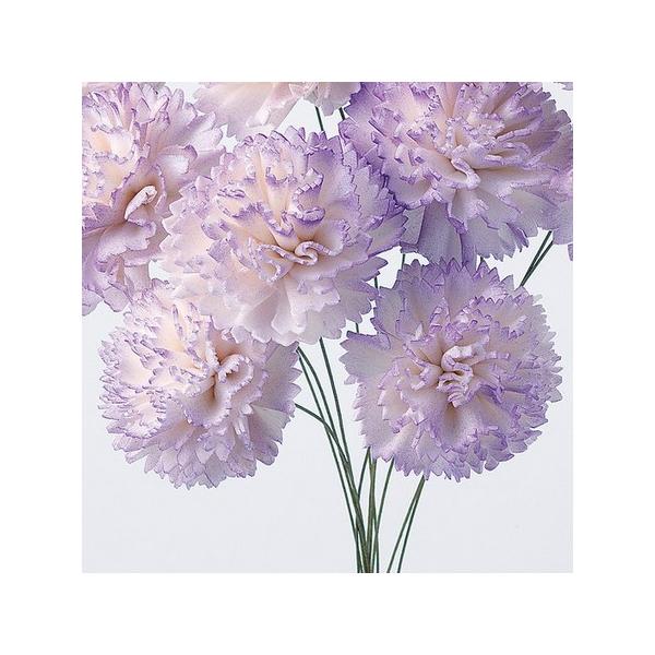 【商品番号：028-01830】/【VAR：4517】date20231027/32764-403ソラフラワー ソラカーネーション