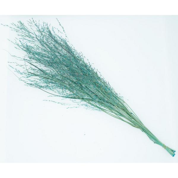 【商品番号：028-01915】/【VAR：77120】date20231031ドライ穂物 その他【KUNIFLOWERS】