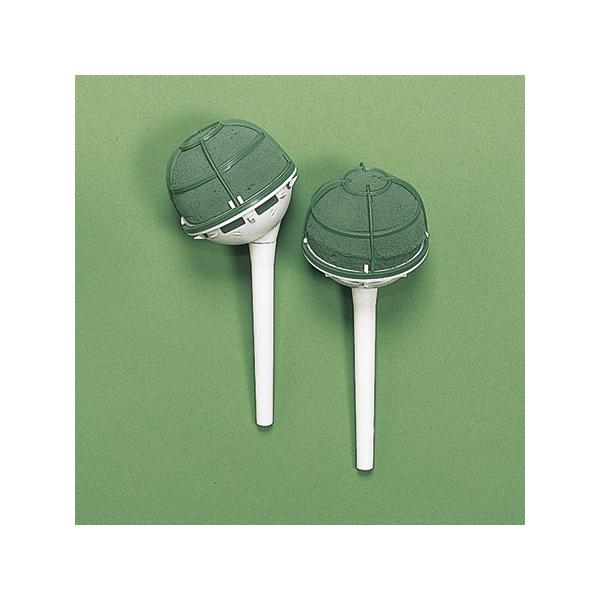 IAVX IAVX@EFfBOxu[Pz_[  X^Cv @U t[tH[ IAVX  u[Pz_[