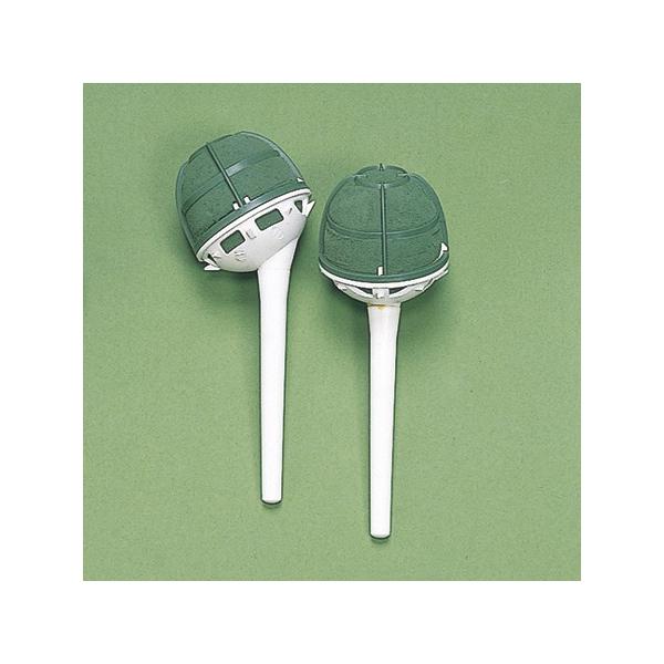 IAVX IAVX@P[X EFfBOxu[Pz_[  X^Cv  U  t[tH[ IAVX  u[Pz_[