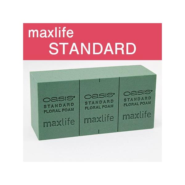 07 IAVX X^_[hmaxlife@1ubN t[tH[ IAVX  ԗpubN