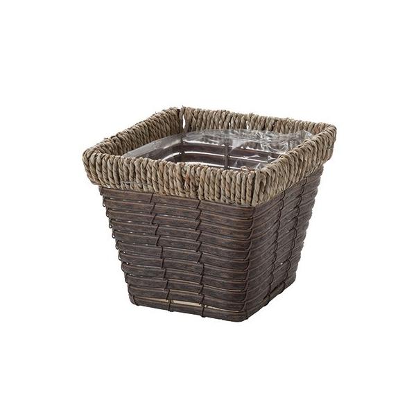 勴VX zcXNGAx[Xr 23-123 10  oXPbg V[OXoXPbg