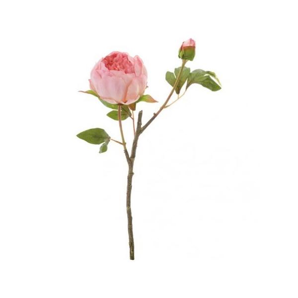  YDM {^X2@[u FA6672-MAV  ԍށusv VNN {^ sIj[