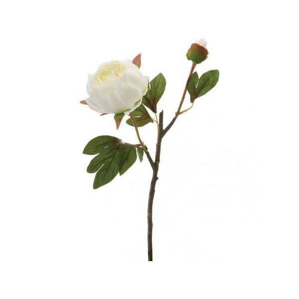  YDM {^X2@zCg FA6672-W 䉖 O  ԍށusv VNN {^ sIj[