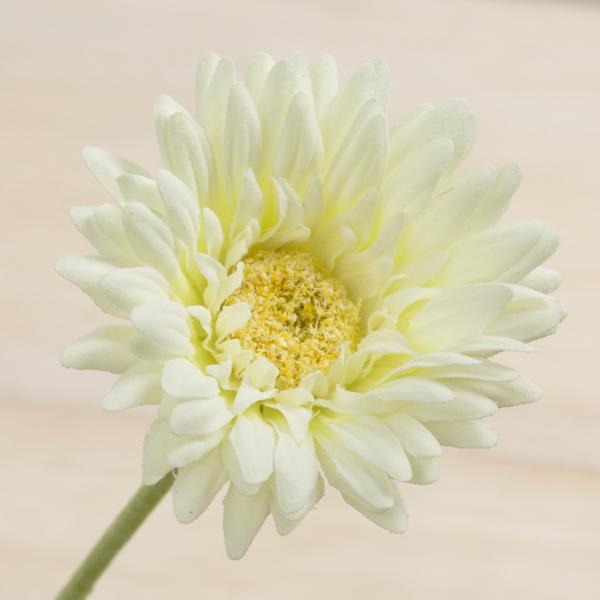 造花 YDM シングルガーベラ　ホワイト FA6624-W 造花 花材「か行」 ガーベラ
