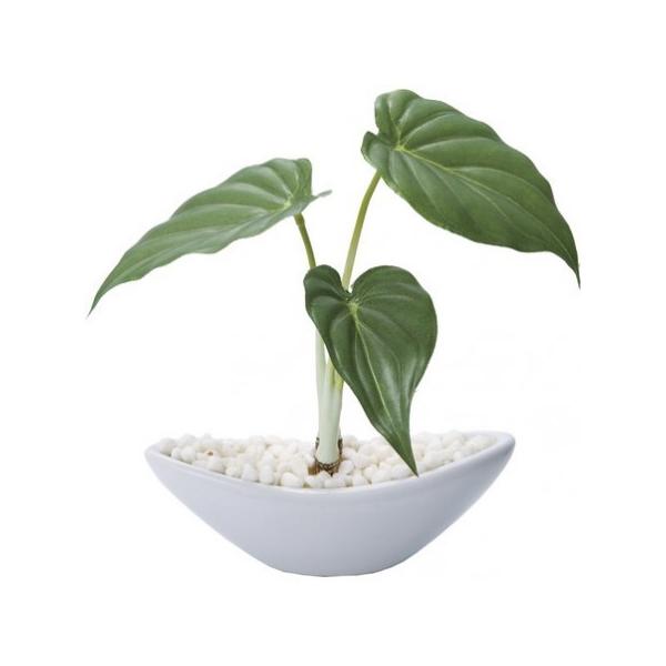 ���� YDM �A���J�V�A�|�b�g S �@ GLA1201 ���ԗt���A�t�F�C�N�O���[�� ���̑��̑��ԃO���[��