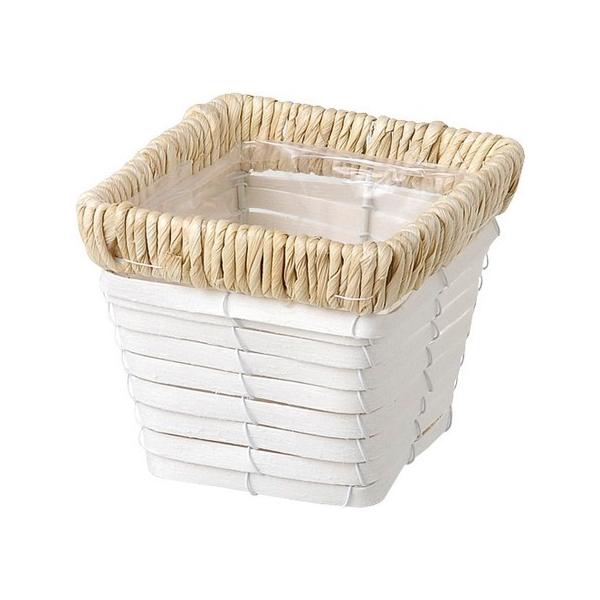 勴VX zCgzcXNGAx[Xrr 23-422 10  oXPbg Ԃ t[oXPbg