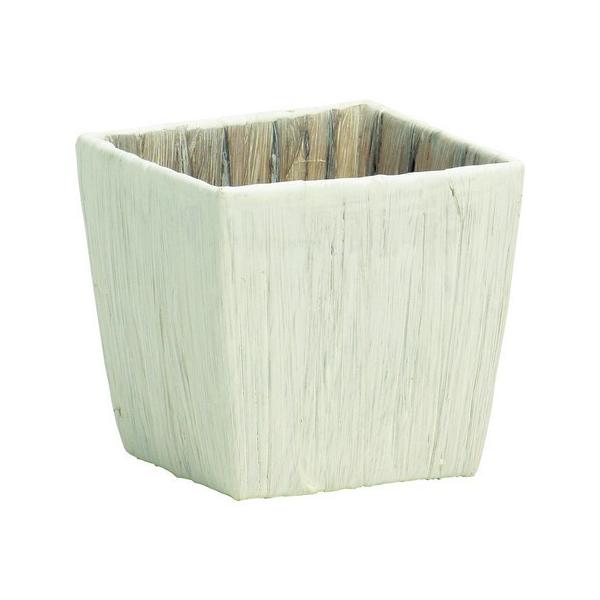 07 SG Wonder zone ktqVXAWP^R{p 366-006 10  oXPbg EH[^[qVX CY