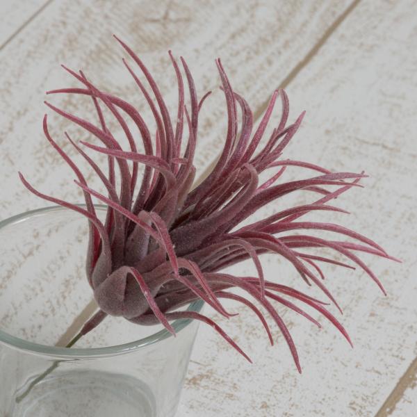  YDM `WA@o[KfB[ FG4446-BUR ԗtAtFCNO[ GAvc