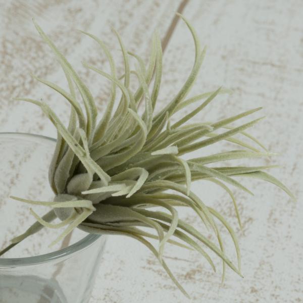  YDM `WA@O[ FG4446-GR ԗtAtFCNO[ GAvc