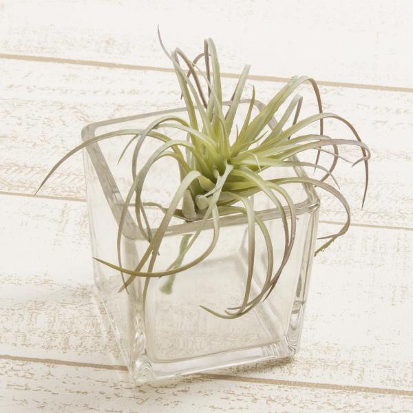  YDM `WAsbN@bhO[ FG4586-R G ԗtAtFCNO[ GAvc