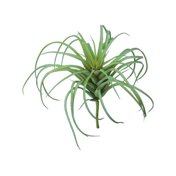  YDM `WAsbN FG4586-v G ԗtAtFCNO[ GAvc