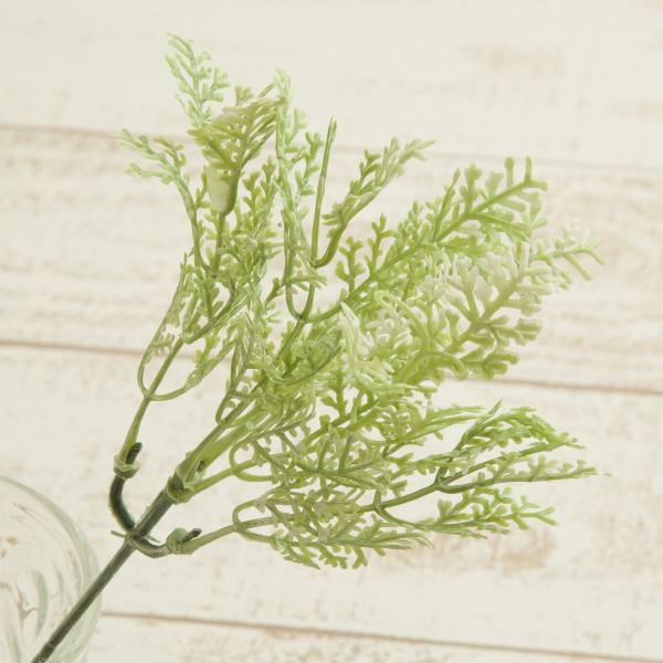 【商品番号：030-19197】/【VAR：21016】4961823653407/20160219new/bk-0031/201707satsuei/17apall/A17haha-006/180615pu/16hina-004/2001...