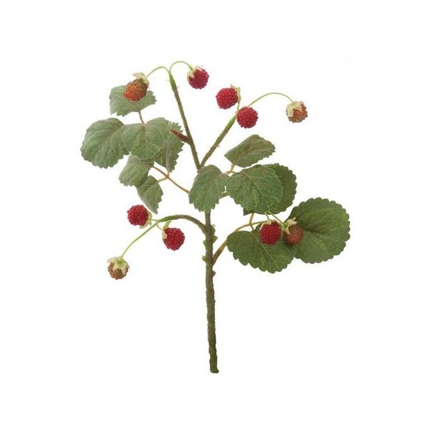  YDM tbVYx[V[g bh FG4673-R ԎAtFCNt[c  Xgx[