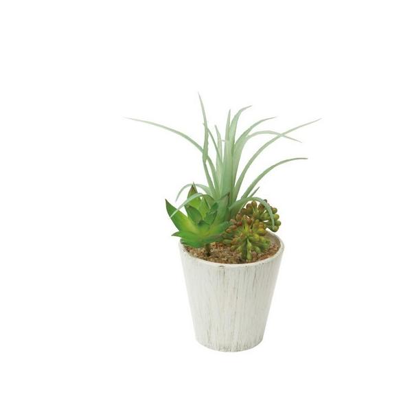�l�H�ϗt�A�� YDM �`�����W�A�~�b�N�X�|�b�g �~�b�N�X GLA1314-MIX