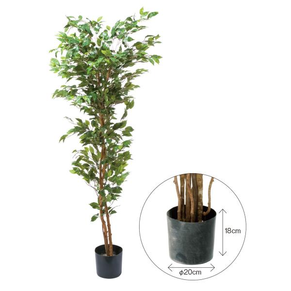  lHϗtA YDM xW~tBJX@180cm@؂̂݁|bgȂ GLP1290ԕis