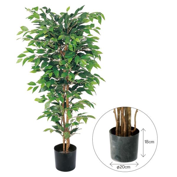  lHϗtA YDM xW~tBJX@150cm@؂̂݁|bgȂ GLP1300ԕis