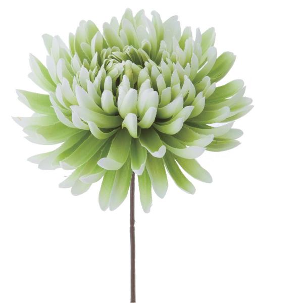 【商品番号：030-23243】/【VAR：47630】4961823672965/20170902new/171111pu/all171110/15any-024//19seijin-003/bkz-0207/bkz-0214/wi_wa...