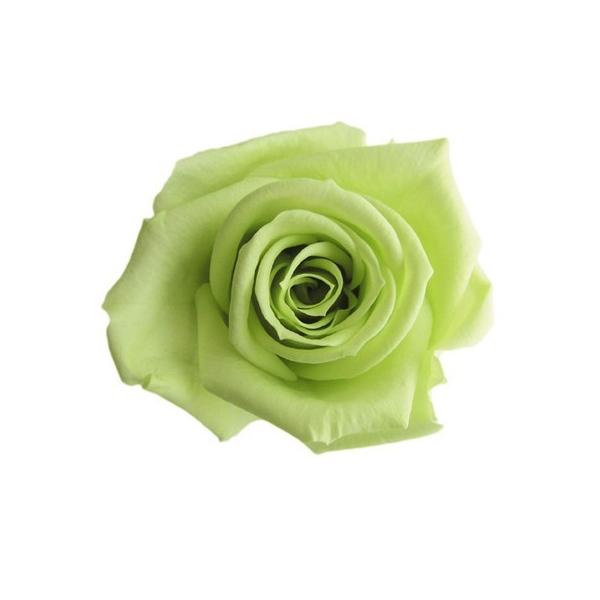 �v���U�[�u�h �t���[���G�o�[ �X�v���[���[�Y 8�� �V�g���X�O���[�� FL070-64 �v���U�[�u�h�t�����[�ԍ� �o�� ���[�Y