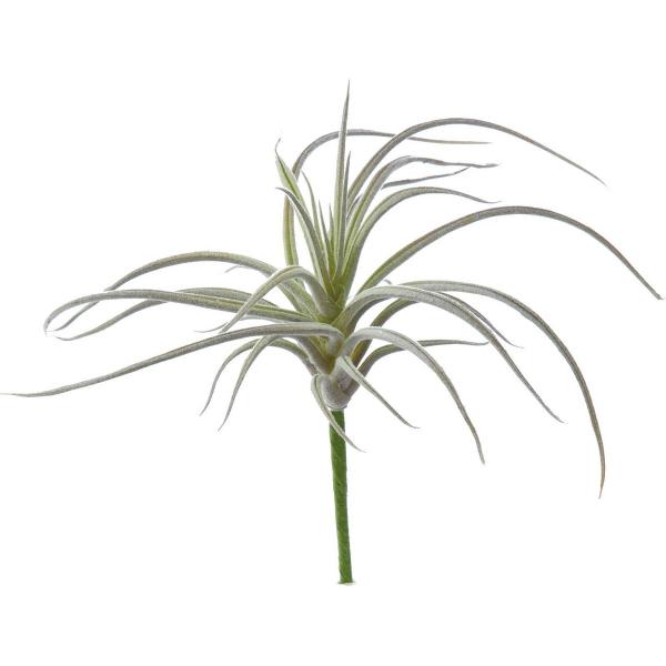  YDM XpC_[`WA zCgO[ FG-4855-W G ԗtAtFCNO[ GAvc