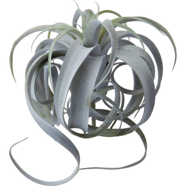  YDM {^jJ`WA zCgO[ GL-5187-W G ԗtAtFCNO[ GAvc