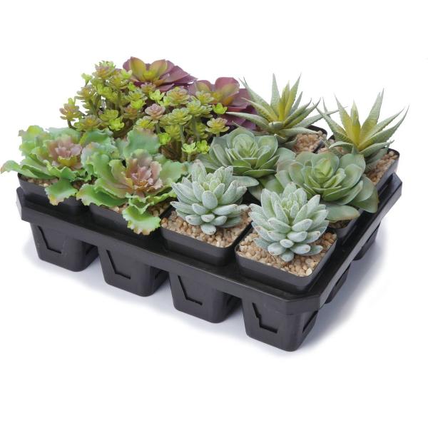 【商品番号：030-52387】/【VAR：】4961823679926/20180228new/16pa003/16haha055/ydmglabn造花葉物、フェイクグリーン サボテン