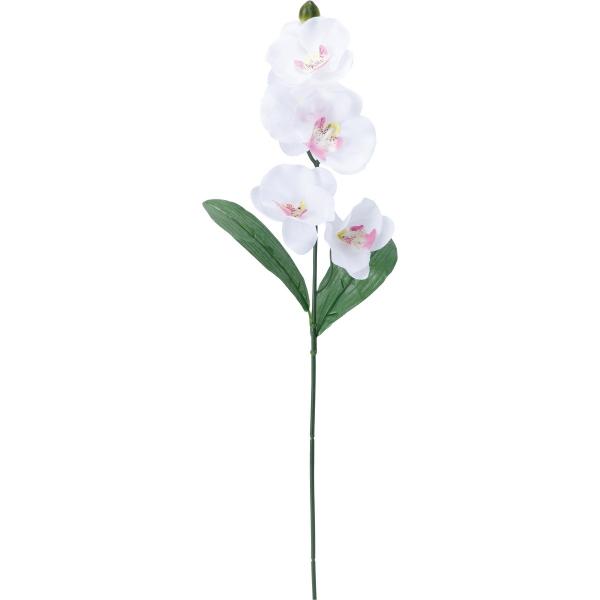 【商品番号：030-52979】/【VAR：52706】4961823675881/20180330new/asum-008/bk-1036/bk-2036造花 花材「か行」 コチョウラン（胡蝶蘭）