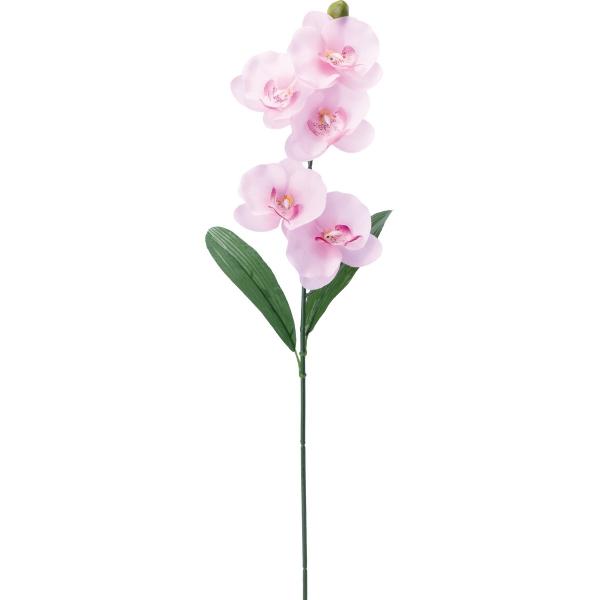 【商品番号：030-52981】/【VAR：52706】4961823675904/20180330new/bkz-0402造花 花材「か行」 コチョウラン（胡蝶蘭）