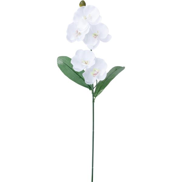 【商品番号：030-52982】/【VAR：52706】4961823675911/20180330new/asum-008/bk-2036/bkz-0202造花 花材「か行」 コチョウラン（胡蝶蘭）