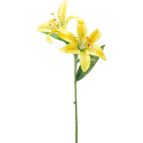  YDM XJV@CG[ FFH-0034-Y  ԍށusv  S  [