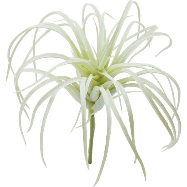  YDM `WAsbN zCg FG-4586-W ԗtAtFCNO[ GAvc