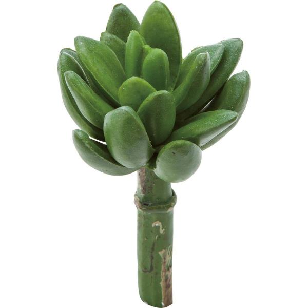 【商品番号：030-54613】/【VAR：57784】20190314new/2001pot造花葉物、フェイクグリーン サボテン