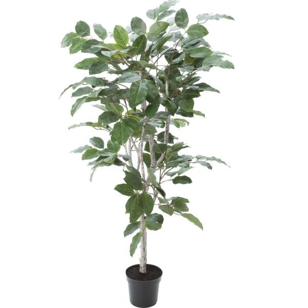  lHϗtA YDM tBJXxKVX GLP-1517-GR ԕis