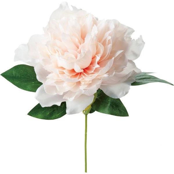  YDM sIj[sbN T[ FA-7258-SA  ԍށusv VNN {^ sIj[